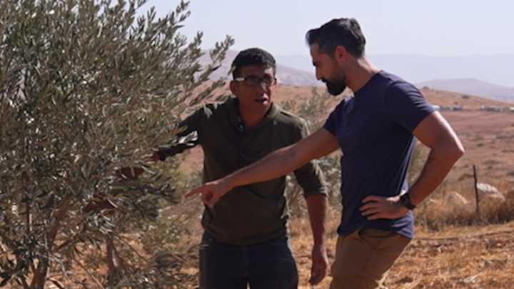 Palestinian olive pickers attacked over and over