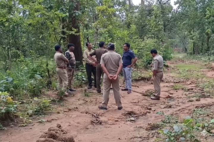 Tusker found dead in Ganjam’s reserve forest, poaching suspected