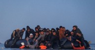 Smuggling gangs teach trick to ‘100% guarantee’ asylum in UK 