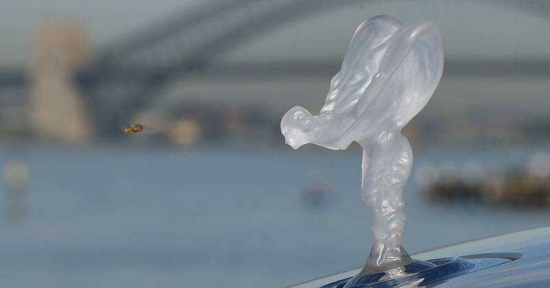 Mystery woman enters pleas over Rolls