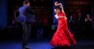 "Una Noche Flamenca" en el Cabildo