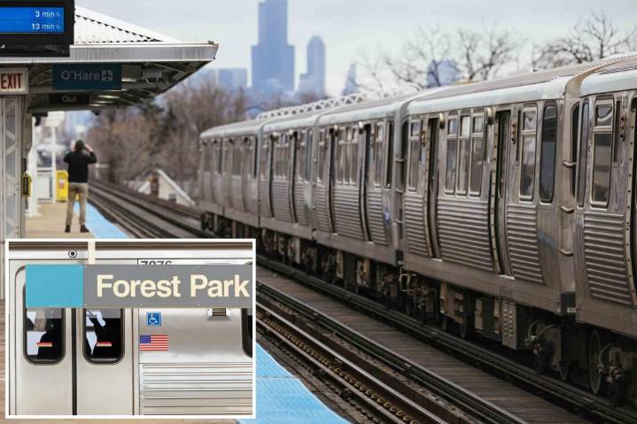 Madman torches female straphanger, 26, on Chicago train