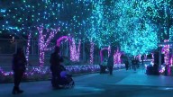 LumiNature returns to the Philadelphia Zoo