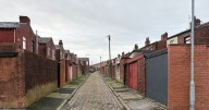 The back alley where a toddler was 'seen eating dog poo'