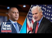 ‘GIBBERISH’: GOP Whip says Dems shut down government ‘for nothing’