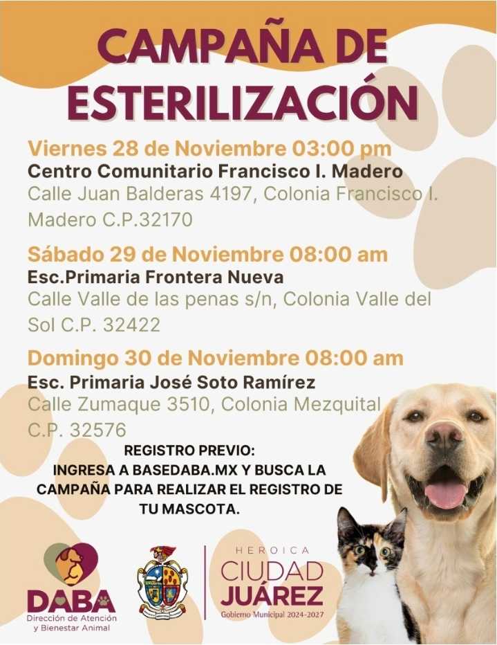 Ofrece DABA esterilizaciones gratuitas