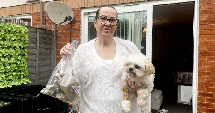 Woman flees UK for Australia after mystery egg attacks that left dog scared to go outside