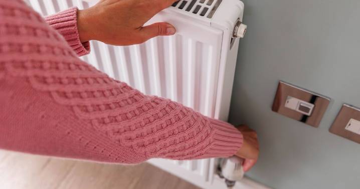 Radiators will be warmer and heat faster with plumber's 4 tips