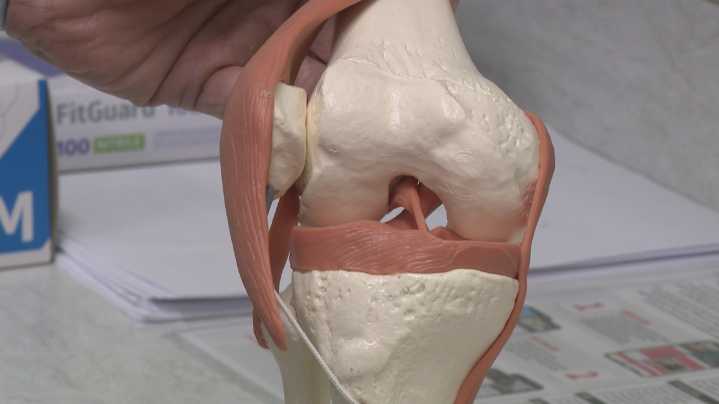 UBMD patients participate in knee pain study