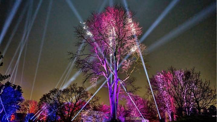 Illumination at Morton Arboretum canceled Saturday night due to weather
