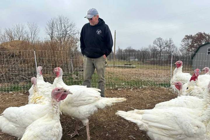 Turkey shortages push Thanksgiving costs higher nationwide