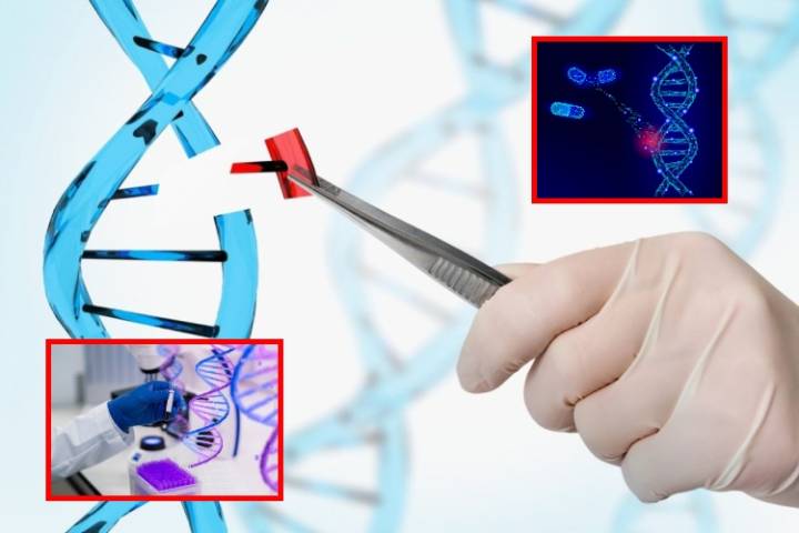 Un tratamiento que repara cientos de enfermedades genéticas