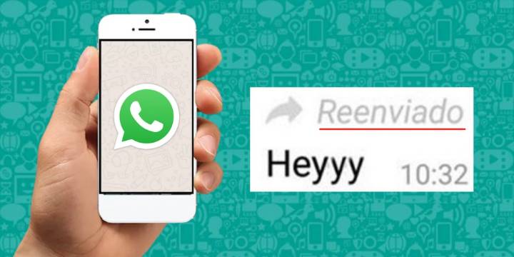 WhatsApp advierte que reenviar un mensaje muchas veces tiene riesgo de estafa, virus o noticias falsas