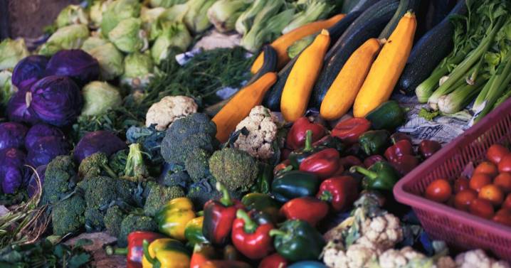 MU Extension expands ‘Freeze It’ program to help reduce food waste in rural Missouri