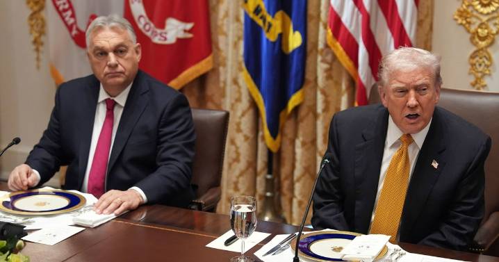 Trump boosts Hungary's far-right Orbán with Russian energy sanctions carve