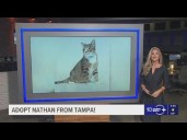 Give Nathan from Tampa a fur