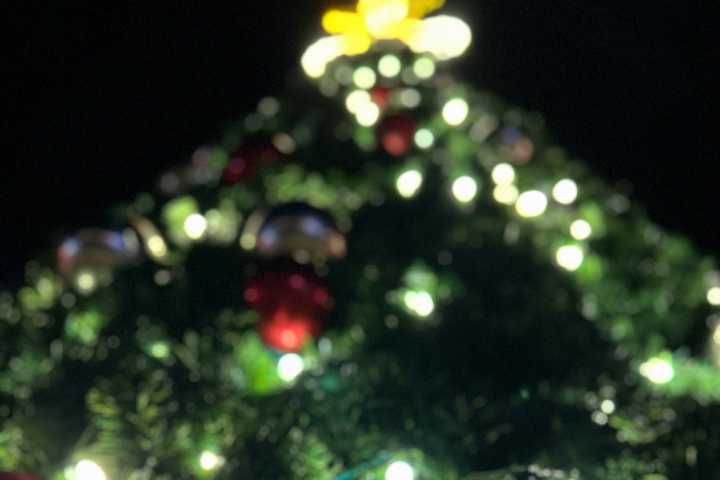 HIGHLAND LAKES EVENTS: Week of Nov. 10