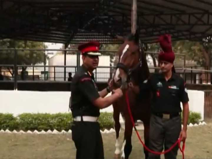 President's Bodyguard horses: A symbol of tradition