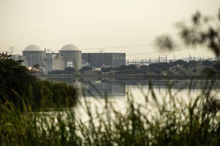 Nucleares, ¿sí, gracias?