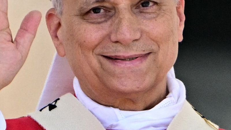 Six months into Pope Leo XIV’s papacy