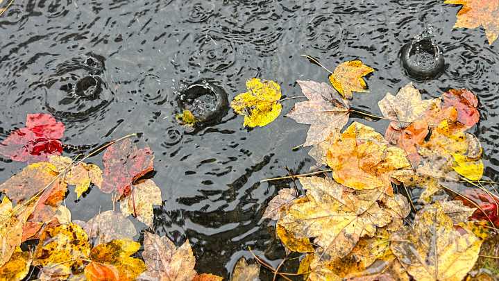 Cheboygan County's weather forecast for Thursday