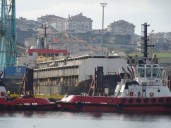 El buque uruguayo con 2.901 vacas regresa desde Turquía: un mes de viaje y la incertidumbre de cuántos animales llegarán con vida