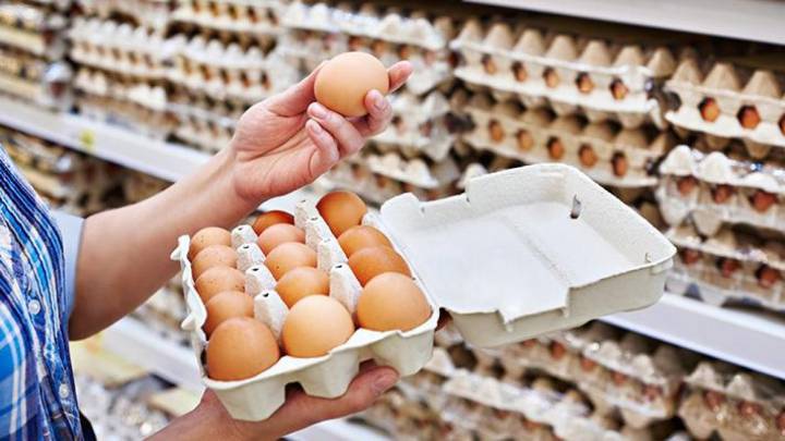 El precio de los huevos, por las nubes: "Por la gripe aviar hemos perdido ya un 5% de la producción, hay incertidumbre"