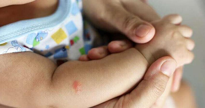 Llaman a la población a protegerse de las picaduras de moscos para prevenir dengue