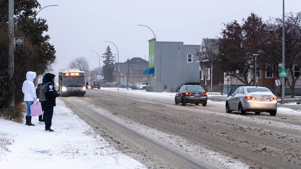 Winter wallop expected to hit parts of Ontario and Quebec thanks to 2 different weather systems