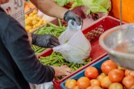 Inicia proceso de legalización de contratos con adjudicatarios con las plazas de mercado