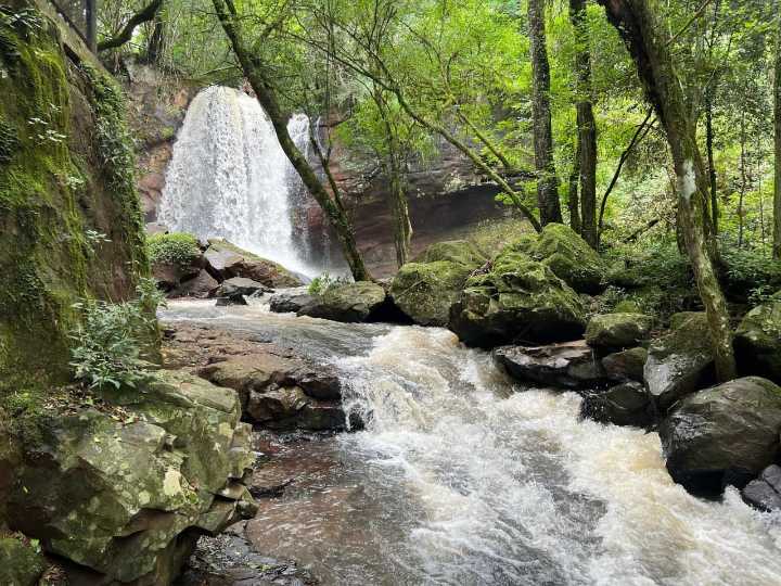 Verano 2026: Inicia la Temporada con un Salto Berrondo renovado