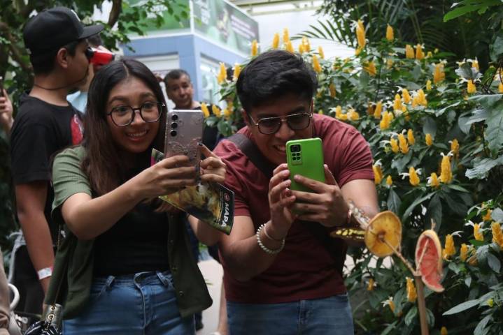 Generación Z en México: ¿participación juvenil y conciencia política?