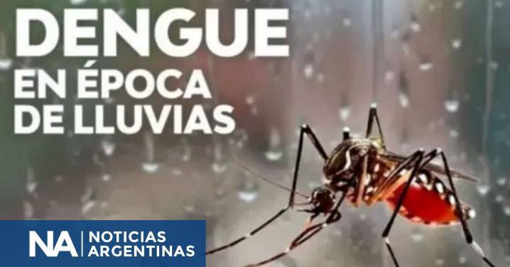 Pautas para prevenir el dengue durante el período de lluvias