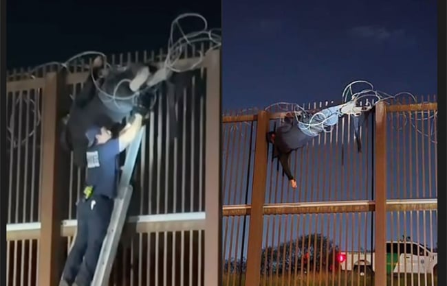 Atrapado migrante en alambrada de púas de muro fronterizo