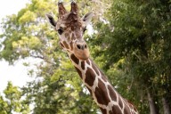 Garden City zoo mourns death of 16