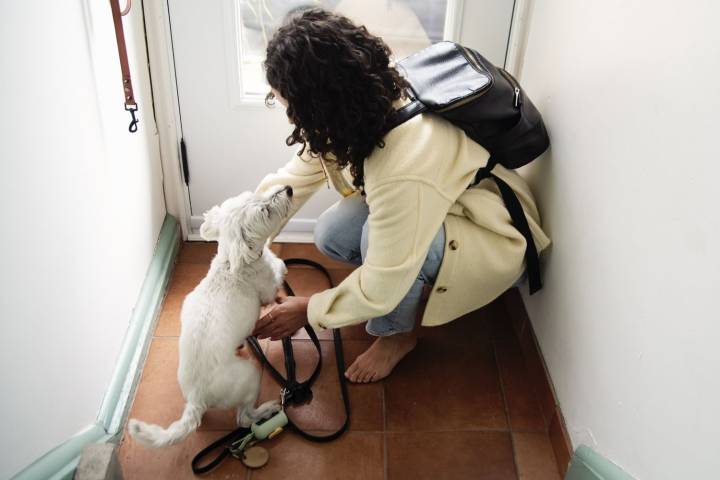 Mom Upset Daughter Brought Home a Lost Dog