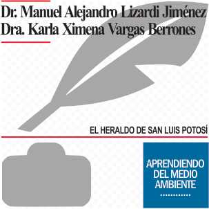 Trenzar la vida: complejidad y biosociodiversidad en clave de derechos humanos