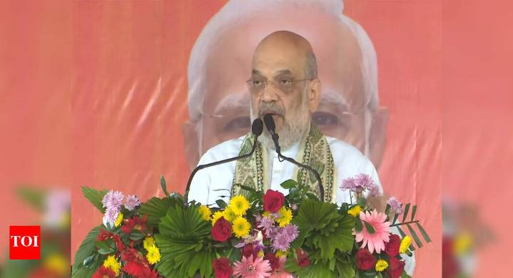 'Lalu's son will open Apaharan department': Amit Shah cautions voters in Bihar; raises 'jungle raj' spectre