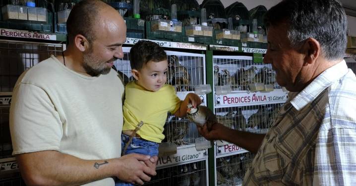Las fotos de la Feria del Ganado y del Pájaro Perdiz en Albox