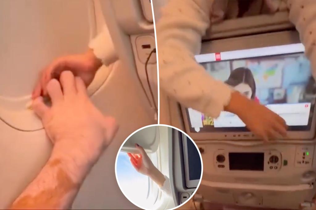 Passenger battles with toddler over window shade in hilarious video