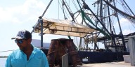 ‘On our knees’: Louisiana shrimpers, ag commissioner warn of shrimping crisis