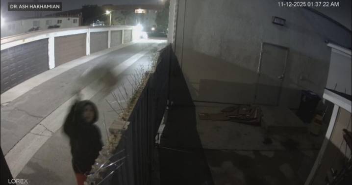 Anaheim woman arrested after allegedly throwing dog over gate