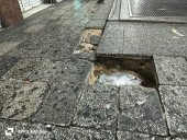 Van por ‘ley bache’ para municipios