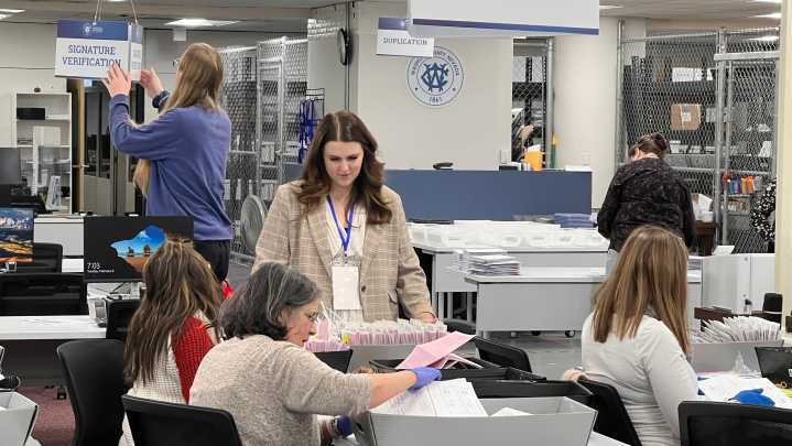 Critic of Washoe voter rolls claims 'good news' under new registrar