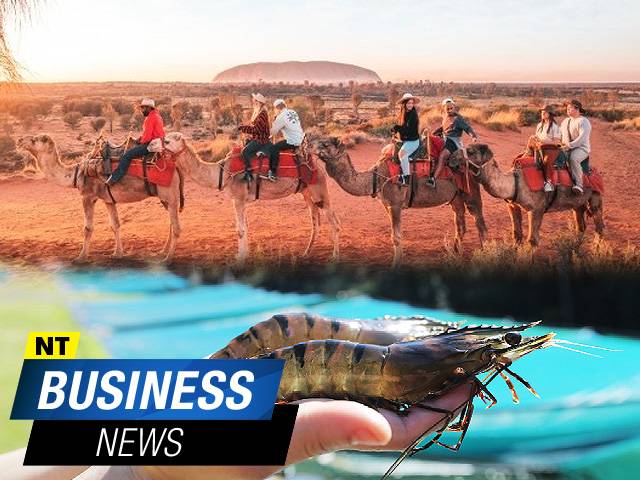 NT Business News – November 17