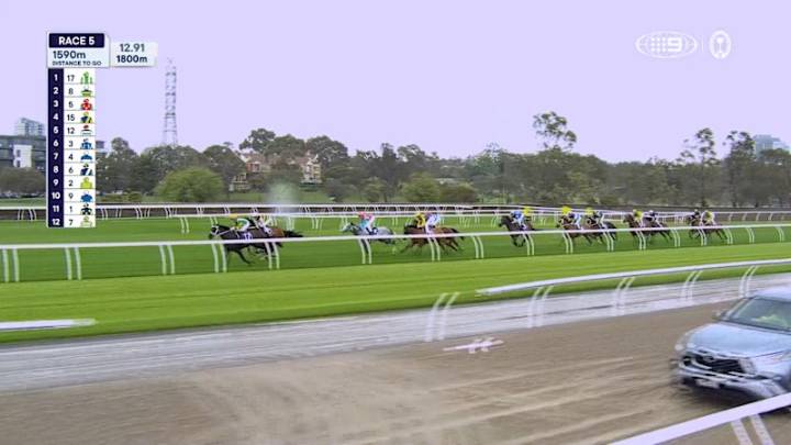 Tab Champions Stakes Day: Race 5 - Queen Elizabeth Stakes