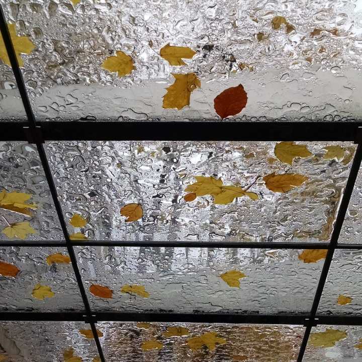 Keep that jacket handy Portland. Rain starts Monday, lasts all week