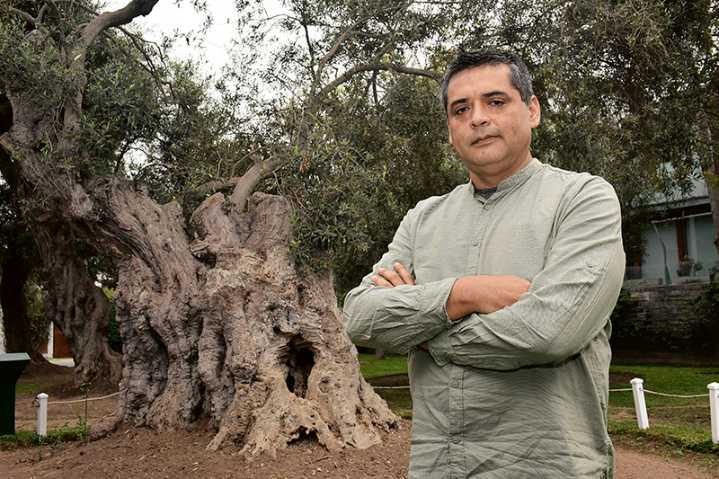 El Guardián del Olivo: Gianfranco Vargas Flores