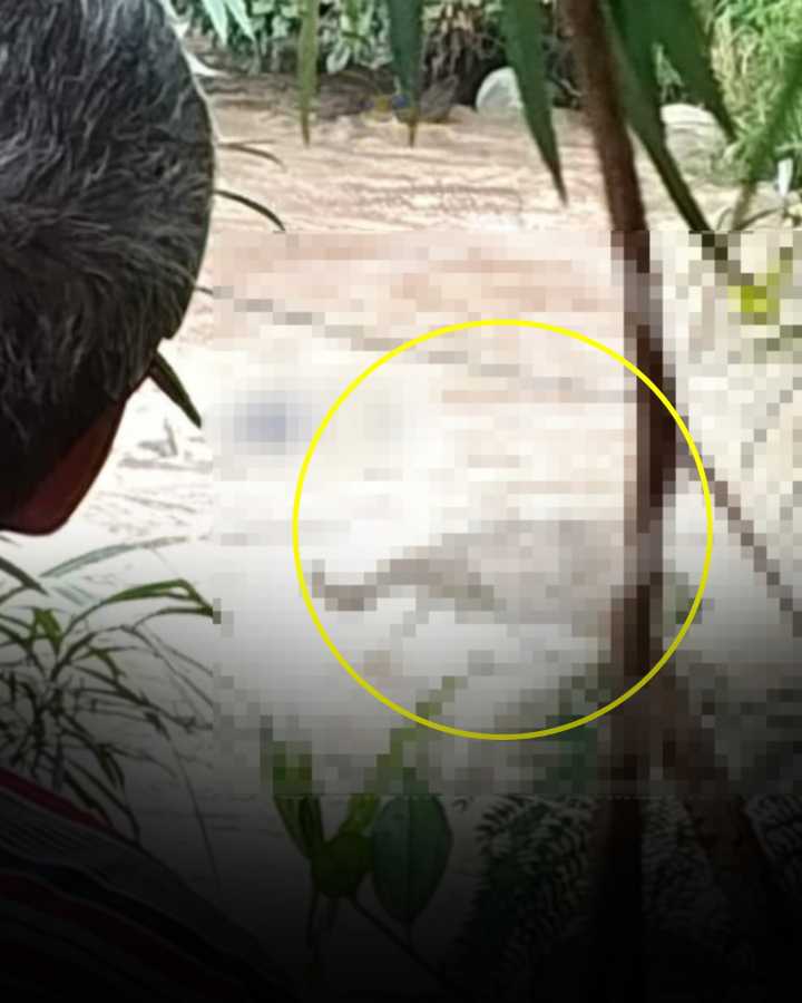Apareció un cadáver sin ojos flotando en el río Suratá