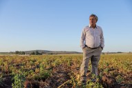 Las otras plagas. Un lado del campo que no se cuenta